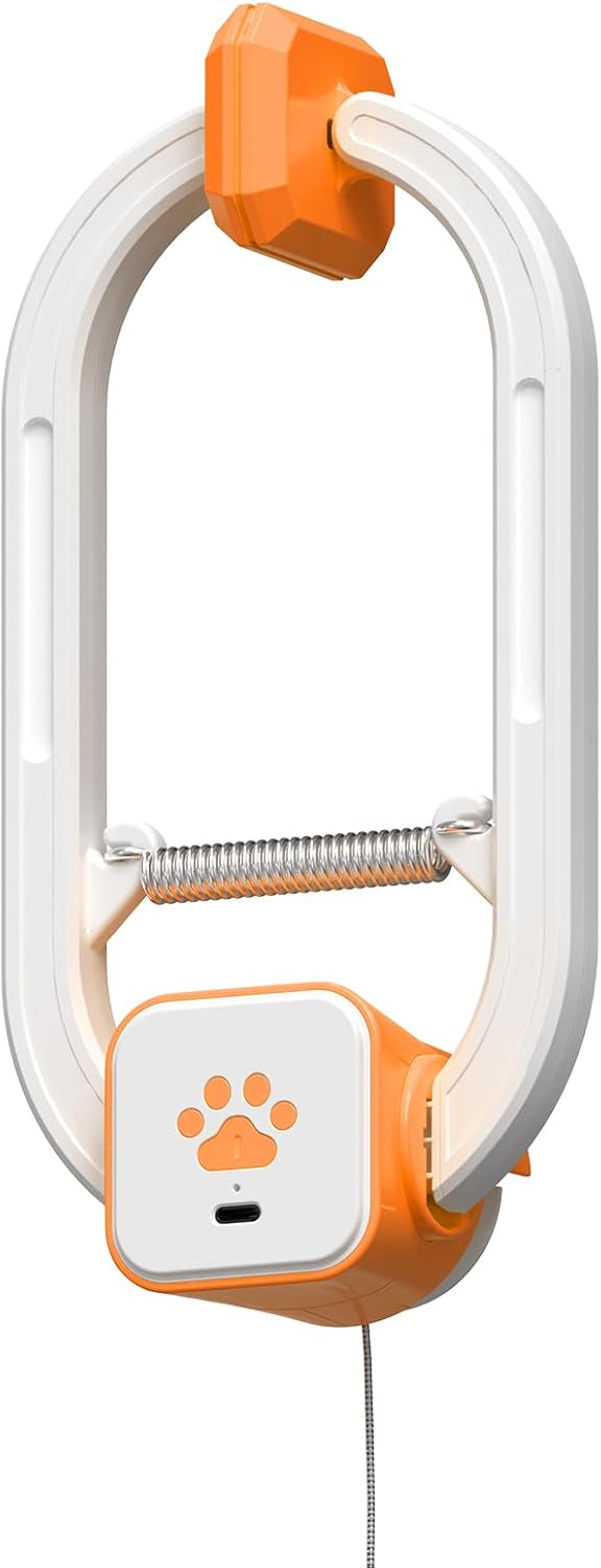 Interactive Cat Toy, Flapping Bird & Rotating Feather Teaser for Indoor Cats, Hanging Doorway Cat Toys with Fishing Pole for Exercise, Boredom Relief & Fun Games
